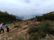 Thumbnail of pic_Mingle_Tam_043.jpg