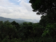 Thumbnail of pic_Regina_Cheng_001.jpg