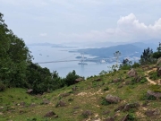Thumbnail of pic_Regina_Cheng_020.jpg