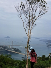 Thumbnail of pic_Regina_Cheng_030.jpg