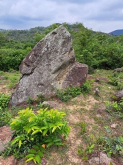 Thumbnail of pic_Regina_Cheng_037.jpg