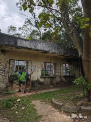 Thumbnail of pic_Zehua_Huang_007.jpg
