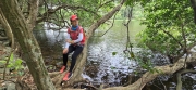 Thumbnail of pic_CW_Ho_009.jpg