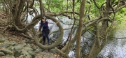 Thumbnail of pic_CW_Ho_013.jpg