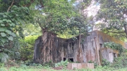 Thumbnail of pic_TK_Fu_003.jpg