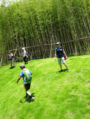 Thumbnail of P7140056.JPG