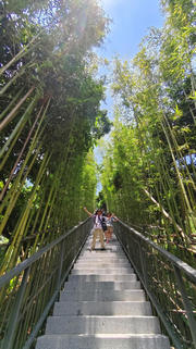 Thumbnail of pic_Derek_Wong_036.jpg
