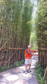 Thumbnail of pic_Esther_Chuk_003.jpg