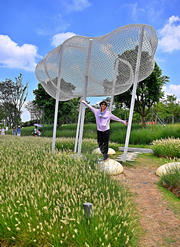 Thumbnail of pic_Lee_Shing_010.jpg