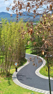 Thumbnail of pic_TK_Fu_056.jpg