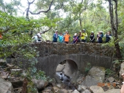 Thumbnail of pic_LK_Cheung_045.jpg