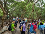 Thumbnail of PB100025.jpg