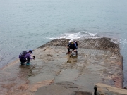 Thumbnail of PB100153.jpg