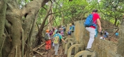 Thumbnail of pic_CW_Ho_031.jpg