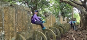 Thumbnail of pic_CW_Ho_039.jpg