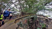 Thumbnail of pic_Esther_Chuk_008.jpg