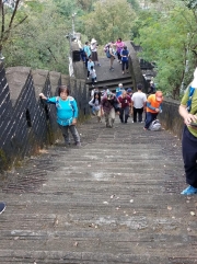 Thumbnail of PB170072.jpg