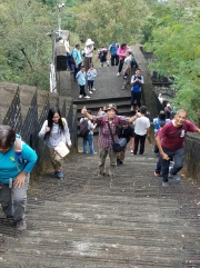 Thumbnail of PB170073.jpg