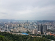 Thumbnail of PB170114.jpg