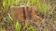 Thumbnail of pic_Derek_Wong_025.jpg