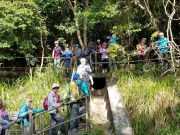 Thumbnail of PC010002.jpg