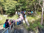 Thumbnail of PC010003.jpg