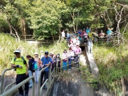 Thumbnail of PC010005.jpg