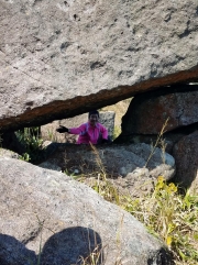 Thumbnail of PC010069.jpg