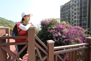 Thumbnail of pic_CW_Ho_137.JPG