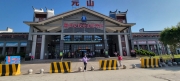 Thumbnail of pic_Teresa_Tse_001.jpg