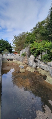 Thumbnail of pic_Teresa_Tse_011.jpg