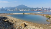 Thumbnail of pic_Lung_023.jpg