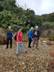 Thumbnail of P2020022.jpg