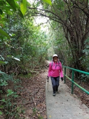Thumbnail of P2020055.jpg