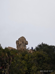 Thumbnail of pic_XF_Liu_105.jpg