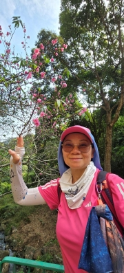 Thumbnail of pic_CW_Ho_012.jpg