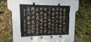 Thumbnail of pic_CW_Ho_021.jpg