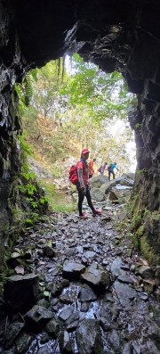 Thumbnail of pic_CW_Ho_121.jpg