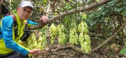 Thumbnail of pic_CW_Ho_088.jpg