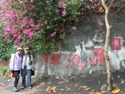 Thumbnail of P3300057.jpg