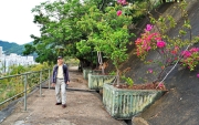 Thumbnail of pic_Lee_Shing_048.JPG