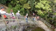 Thumbnail of pic_CW_Ho_076.JPG