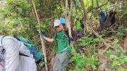 Thumbnail of pic_Derek_Wong_061.jpg