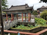 Thumbnail of P5180019.jpg