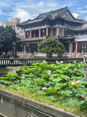 Thumbnail of pic_David_Chan_006.jpg