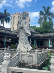 Thumbnail of pic_David_Chan_008.jpg