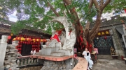 Thumbnail of pic_Derek_Wong_010.jpg