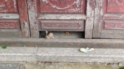 Thumbnail of pic_Derek_Wong_014.jpg