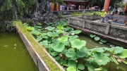Thumbnail of pic_Derek_Wong_017.jpg