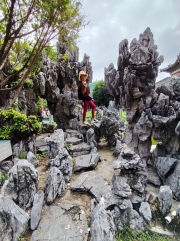 Thumbnail of pic_Kwok_Lam_022.jpg